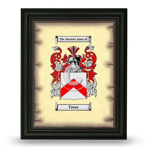 Teese Coat of Arms Framed - Black