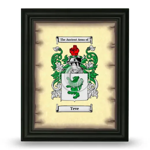 Teve Coat of Arms Framed - Black