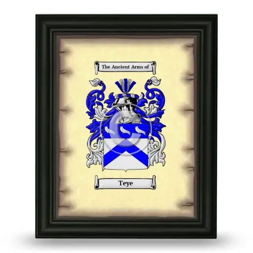 Teye Coat of Arms Framed - Black