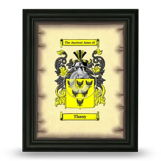 Thany Coat of Arms Framed - Black