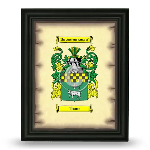 Thaur Coat of Arms Framed - Black