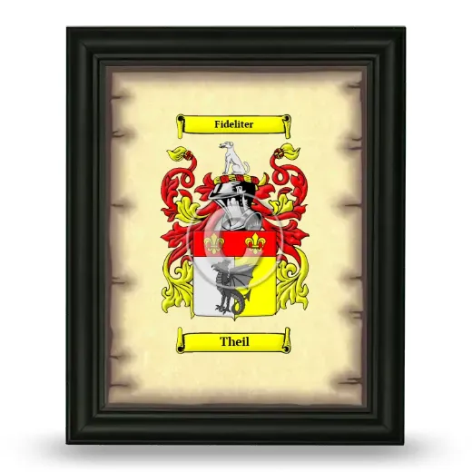 Theil Coat of Arms Framed - Black