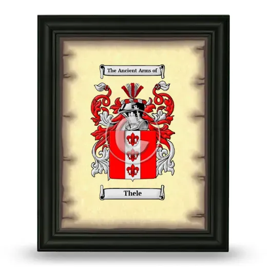 Thele Coat of Arms Framed - Black