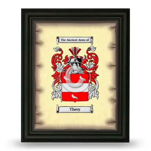 Thery Coat of Arms Framed - Black