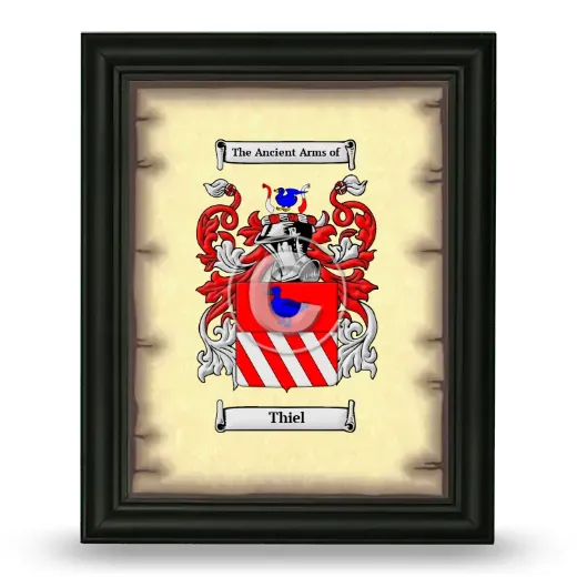 Thiel Coat of Arms Framed - Black