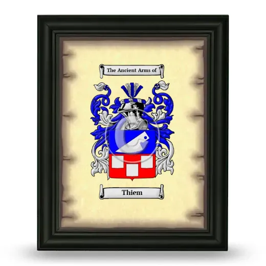 Thiem Coat of Arms Framed - Black