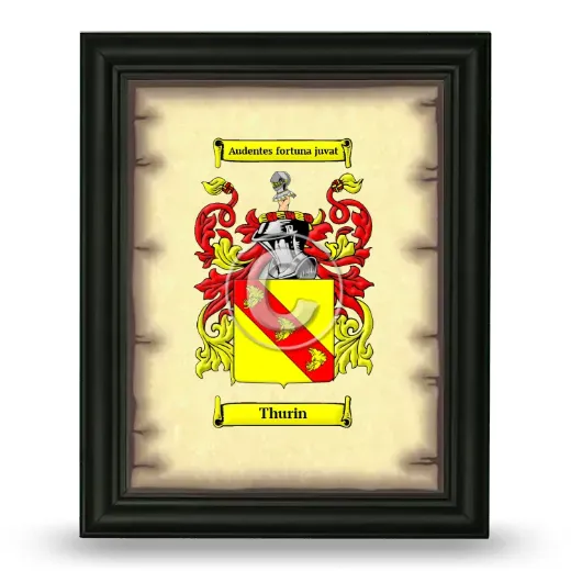 Thurin Coat of Arms Framed - Black