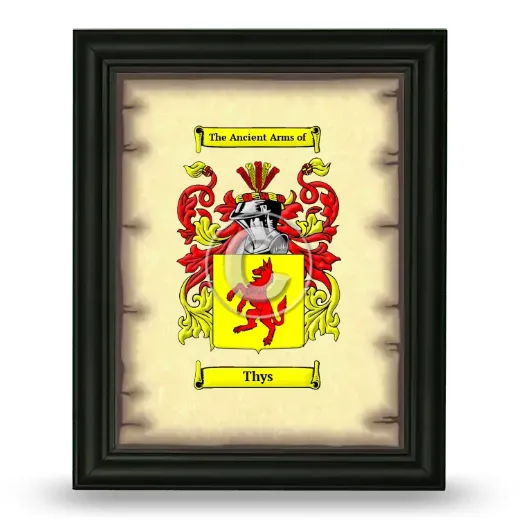 Thys Coat of Arms Framed - Black