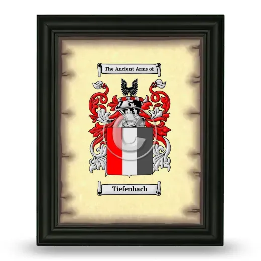 Tiefenbach Coat of Arms Framed - Black