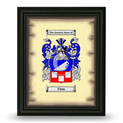 Tiem Coat of Arms Framed - Black