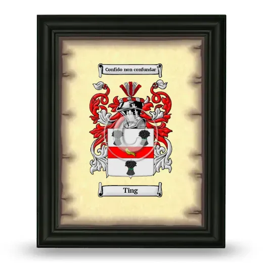 Ting Coat of Arms Framed - Black