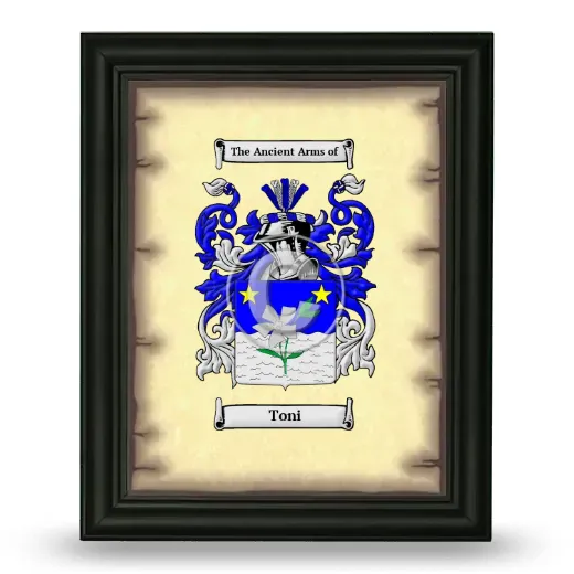 Toni Coat of Arms Framed - Black