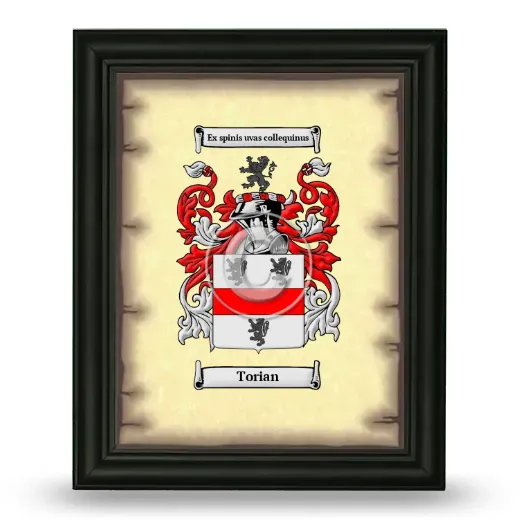 Torian Coat of Arms Framed - Black