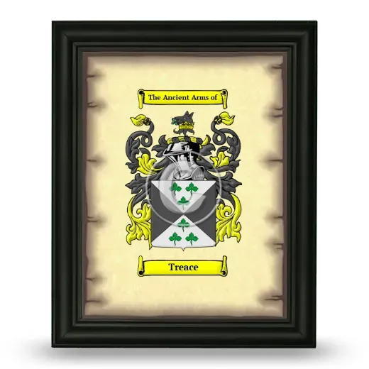 Treace Coat of Arms Framed - Black
