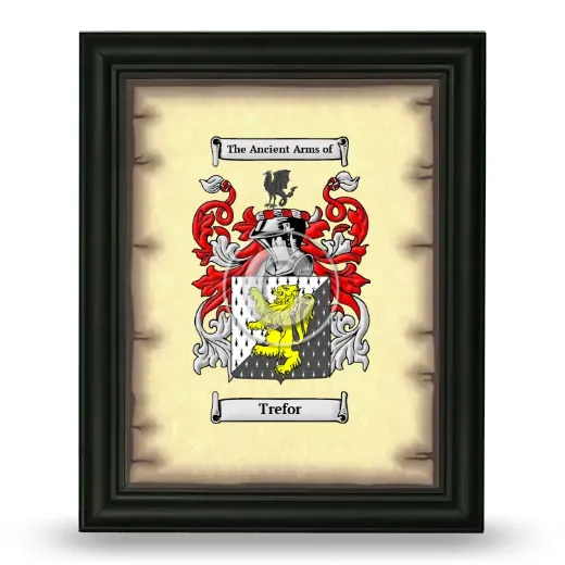 Trefor Coat of Arms Framed - Black