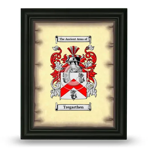 Tregarthen Coat of Arms Framed - Black