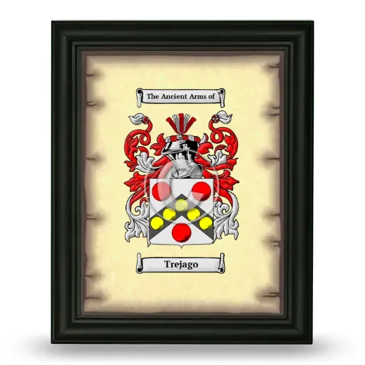 Trejago Coat of Arms Framed - Black