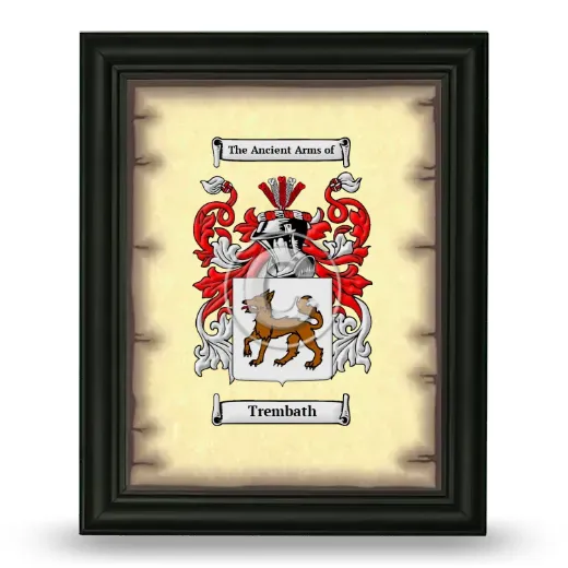 Trembath Coat of Arms Framed - Black