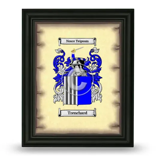 Trenchard Coat of Arms Framed - Black