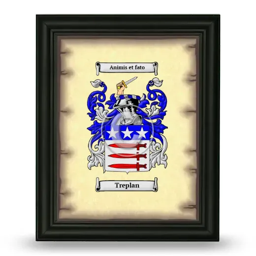Treplan Coat of Arms Framed - Black