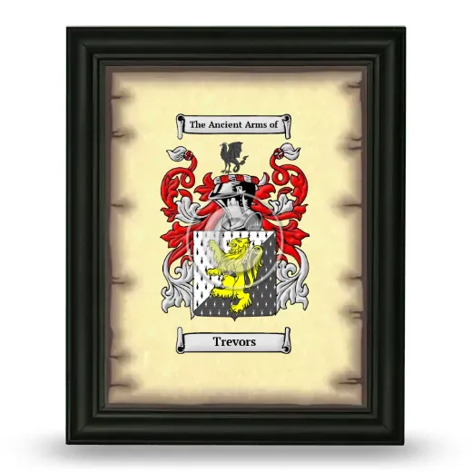 Trevors Coat of Arms Framed - Black
