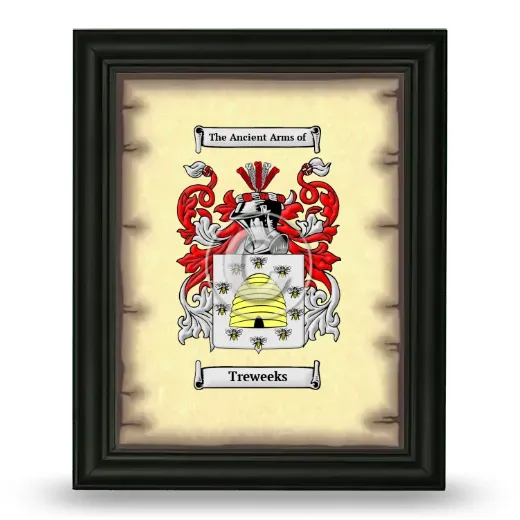 Treweeks Coat of Arms Framed - Black