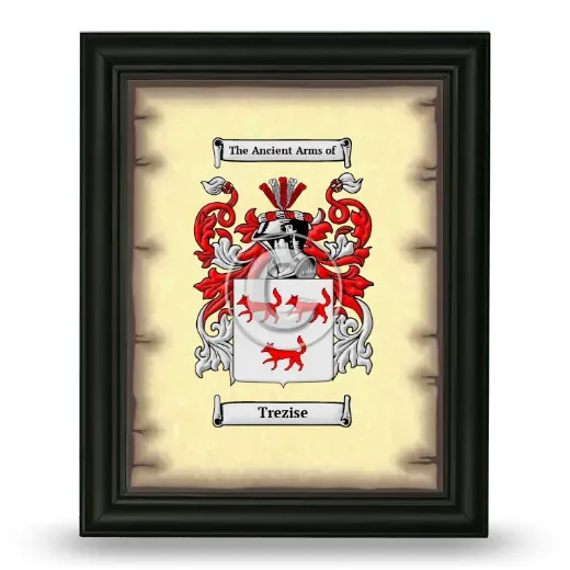 Trezise Coat of Arms Framed - Black