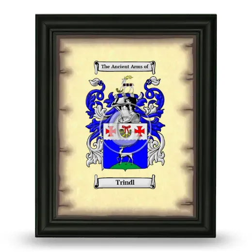 Trindl Coat of Arms Framed - Black