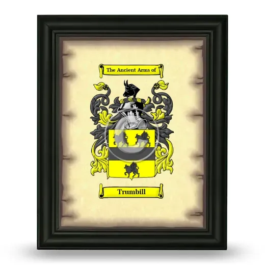 Trumbill Coat of Arms Framed - Black