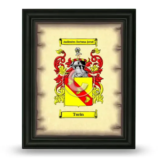 Turin Coat of Arms Framed - Black