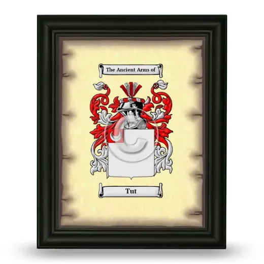 Tut Coat of Arms Framed - Black