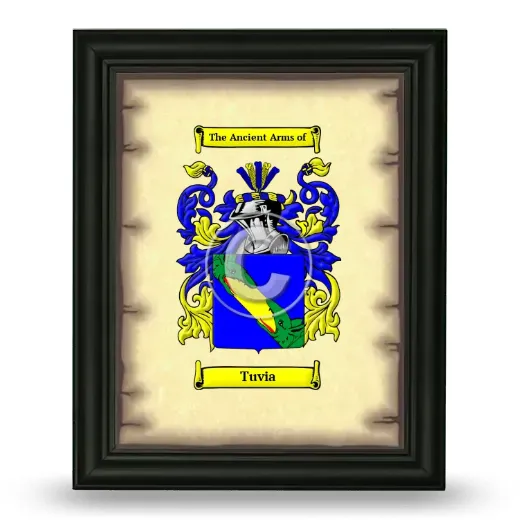 Tuvia Coat of Arms Framed - Black