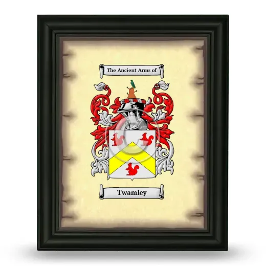 Twamley Coat of Arms Framed - Black
