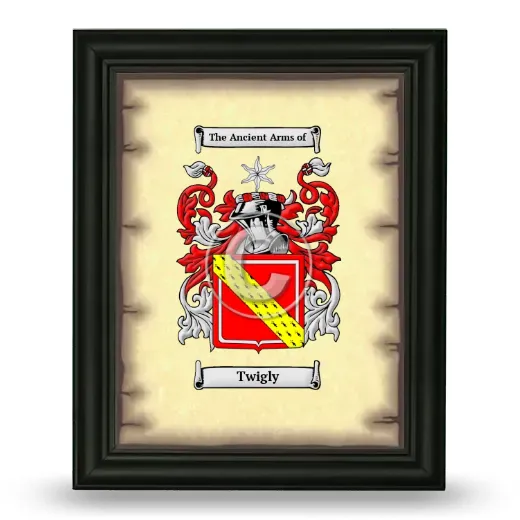 Twigly Coat of Arms Framed - Black