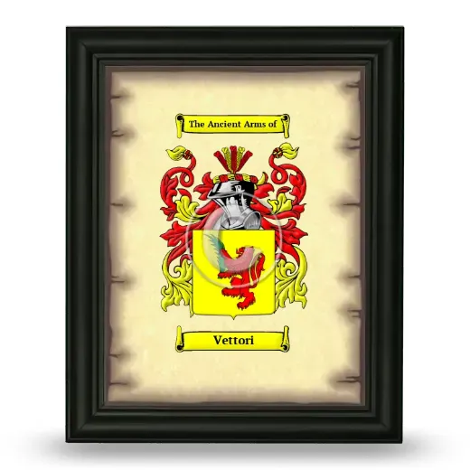 Vettori Coat of Arms Framed - Black