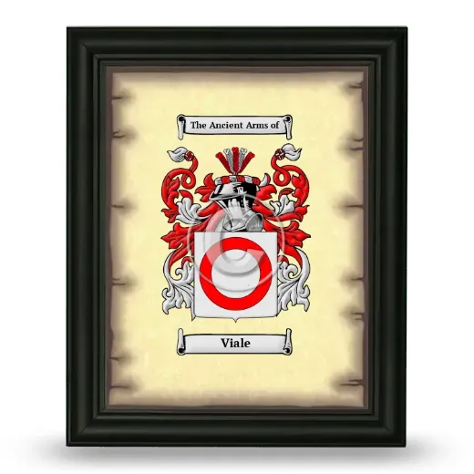 Viale Coat of Arms Framed - Black
