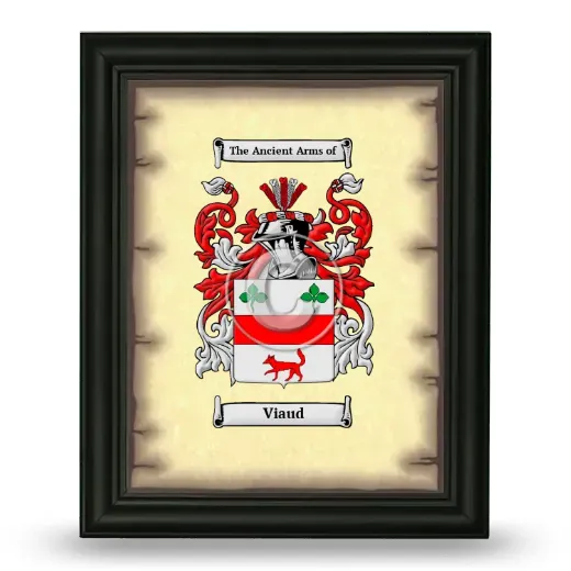 Viaud Coat of Arms Framed - Black