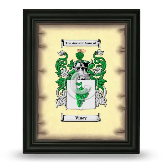 Viney Coat of Arms Framed - Black
