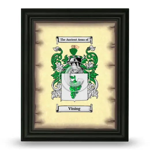 Vining Coat of Arms Framed - Black