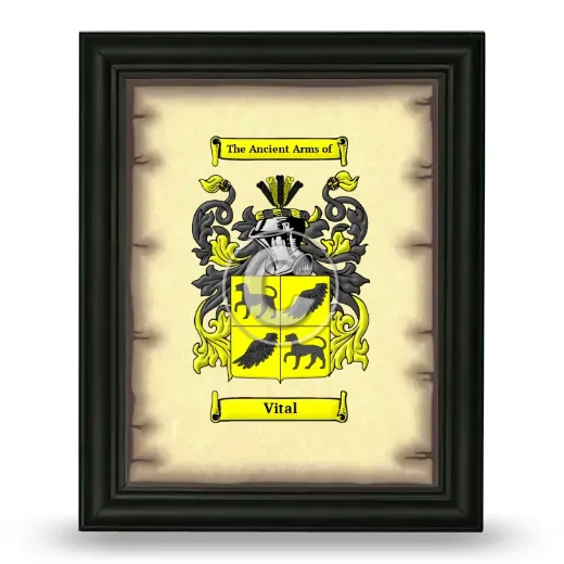 Vital Coat of Arms Framed - Black