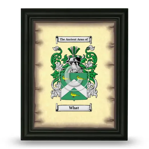 What Coat of Arms Framed - Black