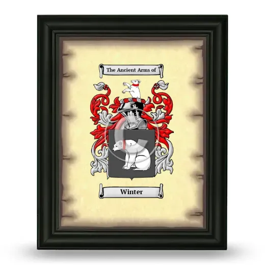 Winter Coat of Arms Framed - Black