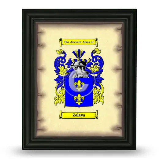 Zelaya Coat of Arms Framed - Black