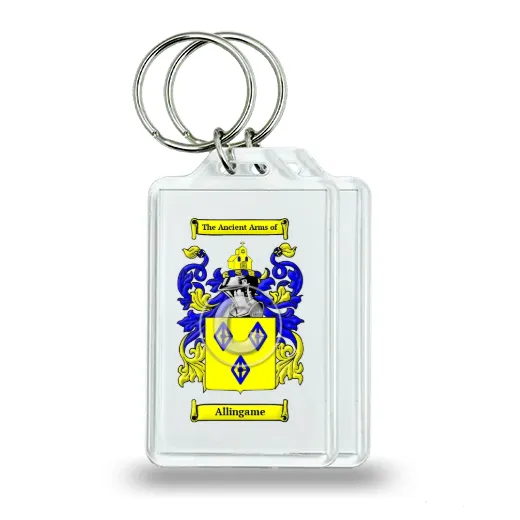 Allingame Pair of Keychains