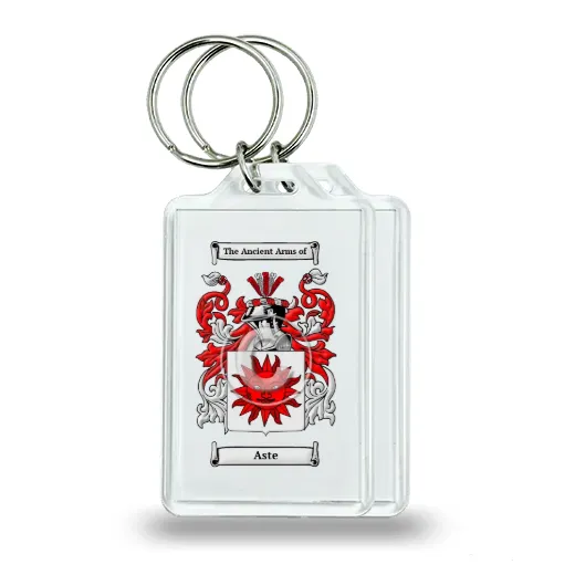 Aste Pair of Keychains