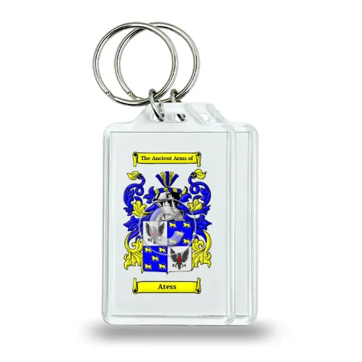 Atess Pair of Keychains