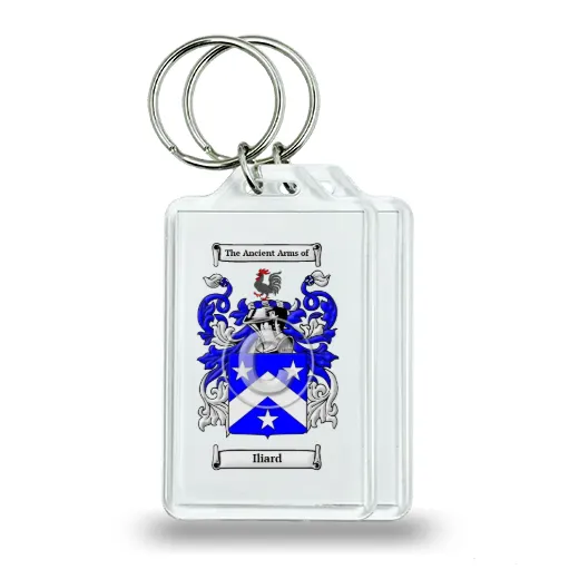 Iliard Pair of Keychains
