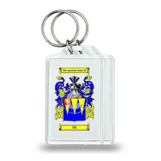 Pil Pair of Keychains