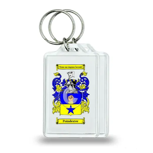 Poindexter Pair of Keychains
