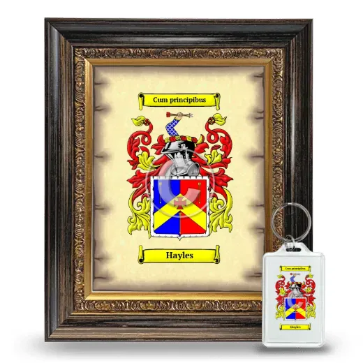 Hayles Framed Coat of Arms and Keychain - Heirloom